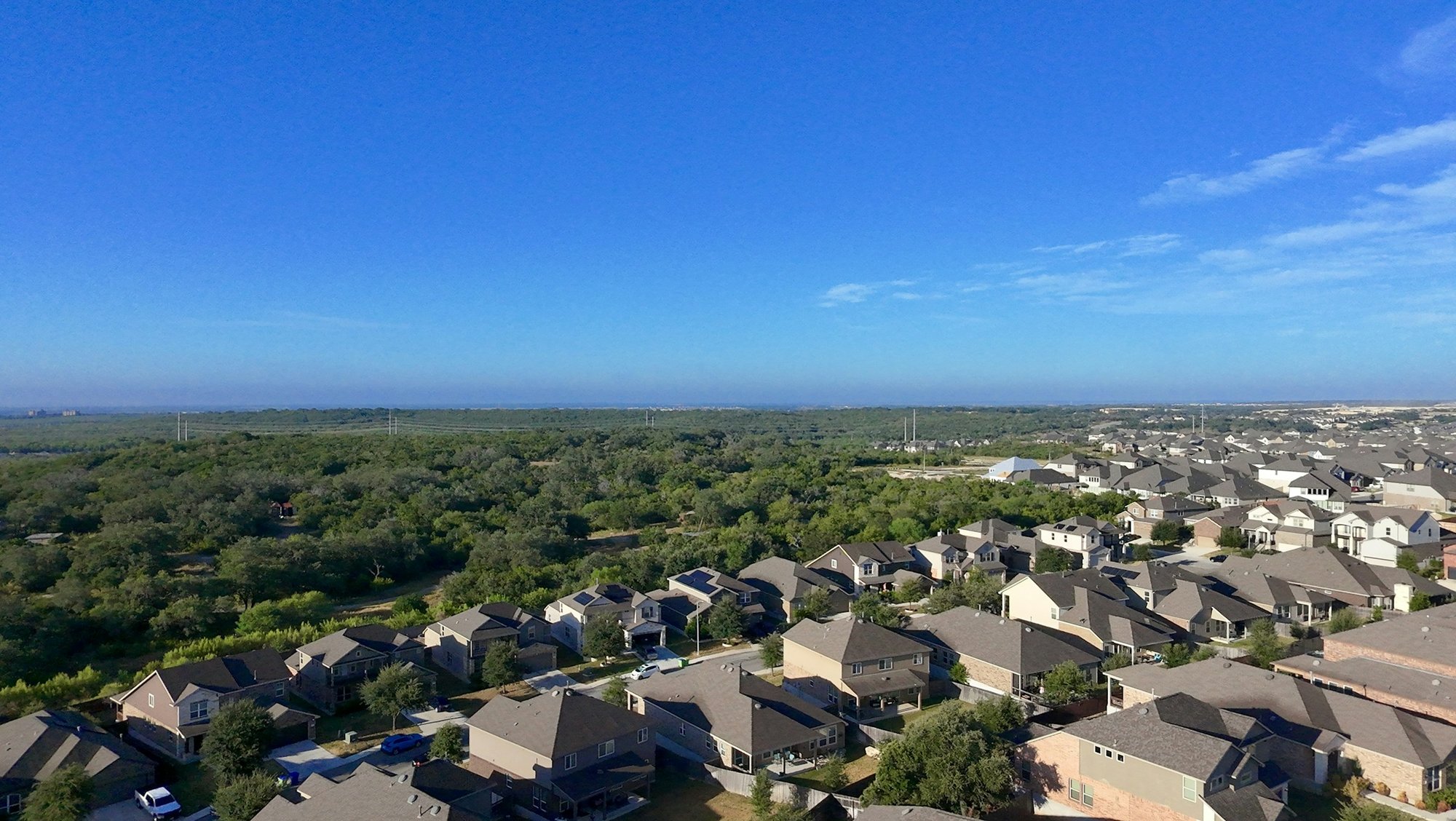Aerial view of a Texas suburban neighborhood with rows of homes and green trees
